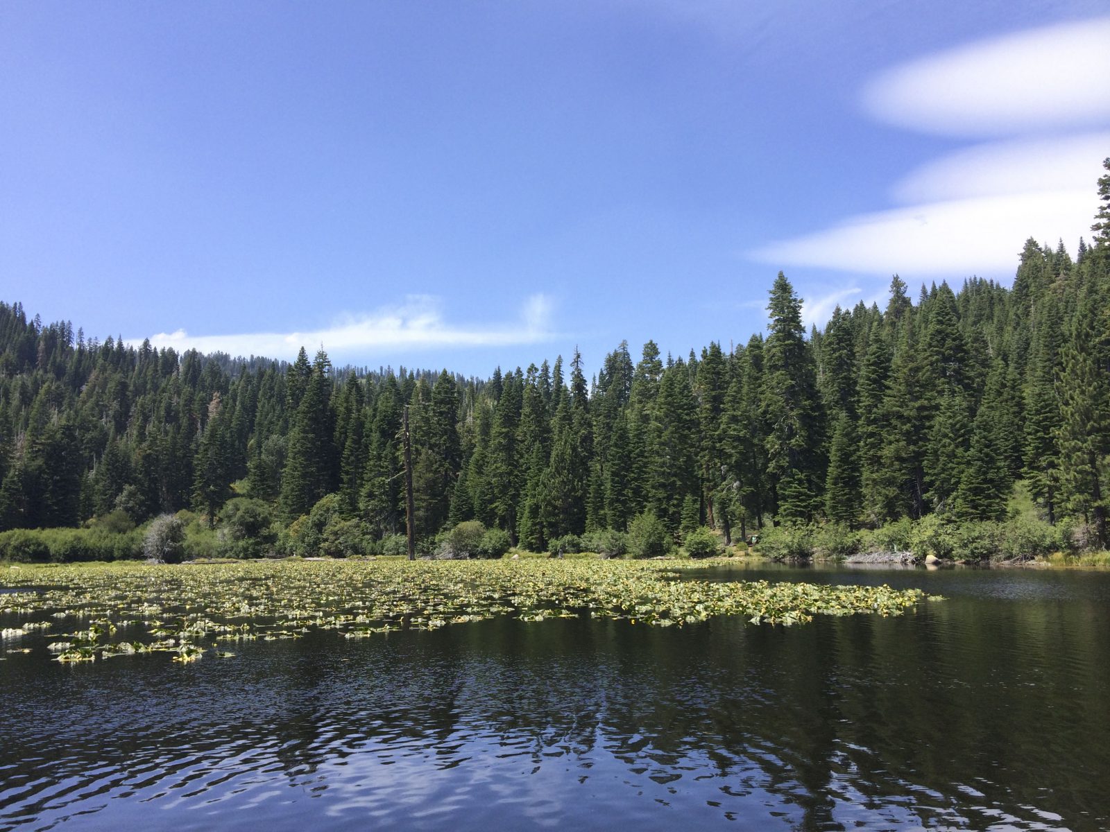 Quail Lake | Lake Tahoe - The Simple Proof