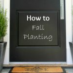 Fall Flower Pots