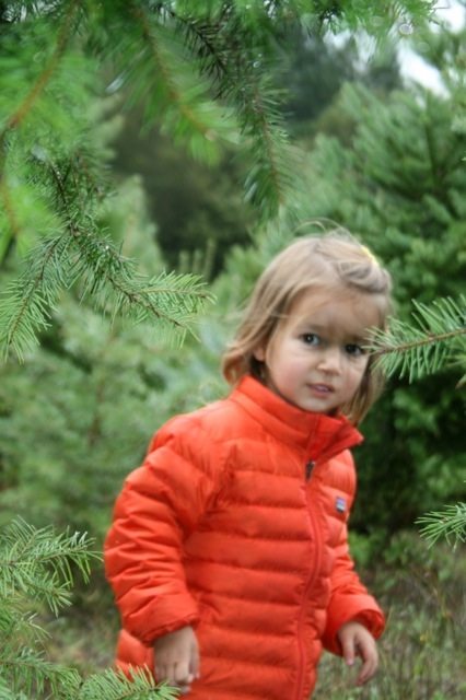 The Simple Proof Holiday Ideas | Christmas Traditions The Simple Proof Holiday Ideas | Christmas Traditions