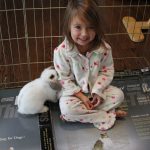 Bunnies