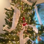 Elf of a Shelf