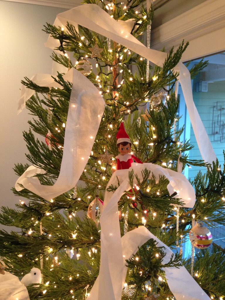 The Simple Proof Christmas | Elf on a shelf