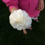 It’s March | Weekend Links