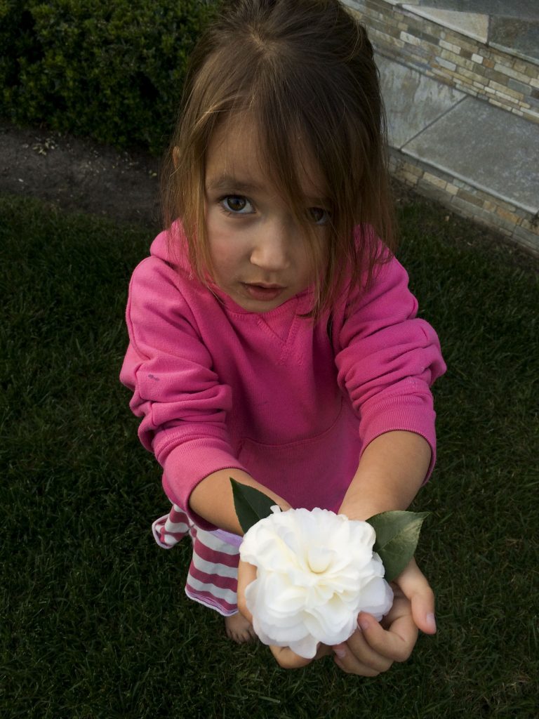 In the Garden | March In the Garden | March