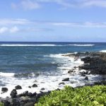 Travelogue | Kauai