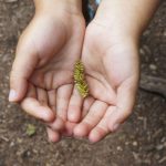 Five Lakes | Hiking with Kids