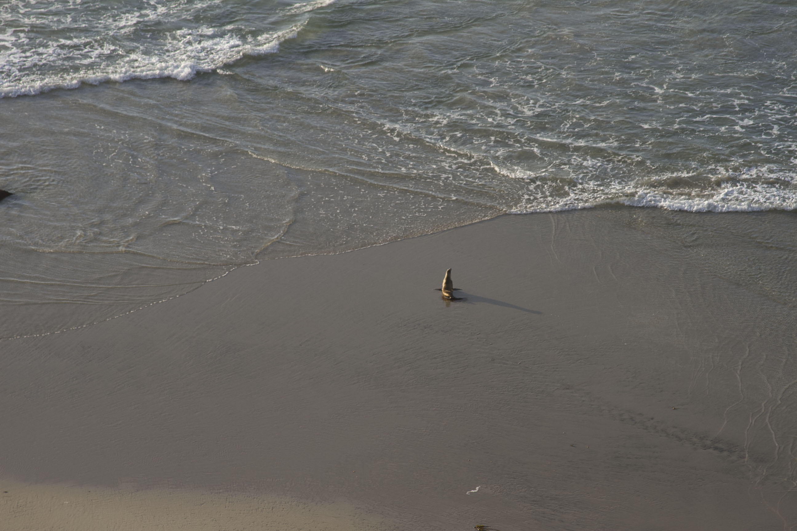 Big Sur, CA