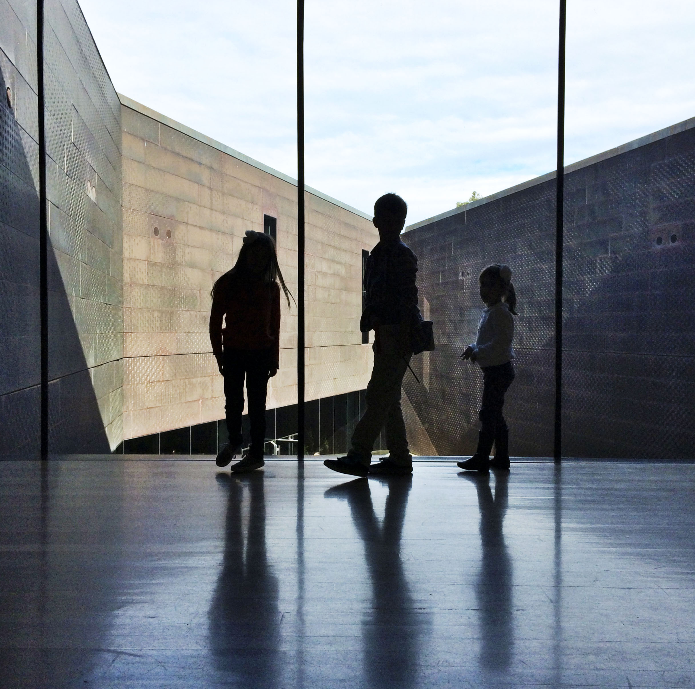 De Young Museum | the simple proof