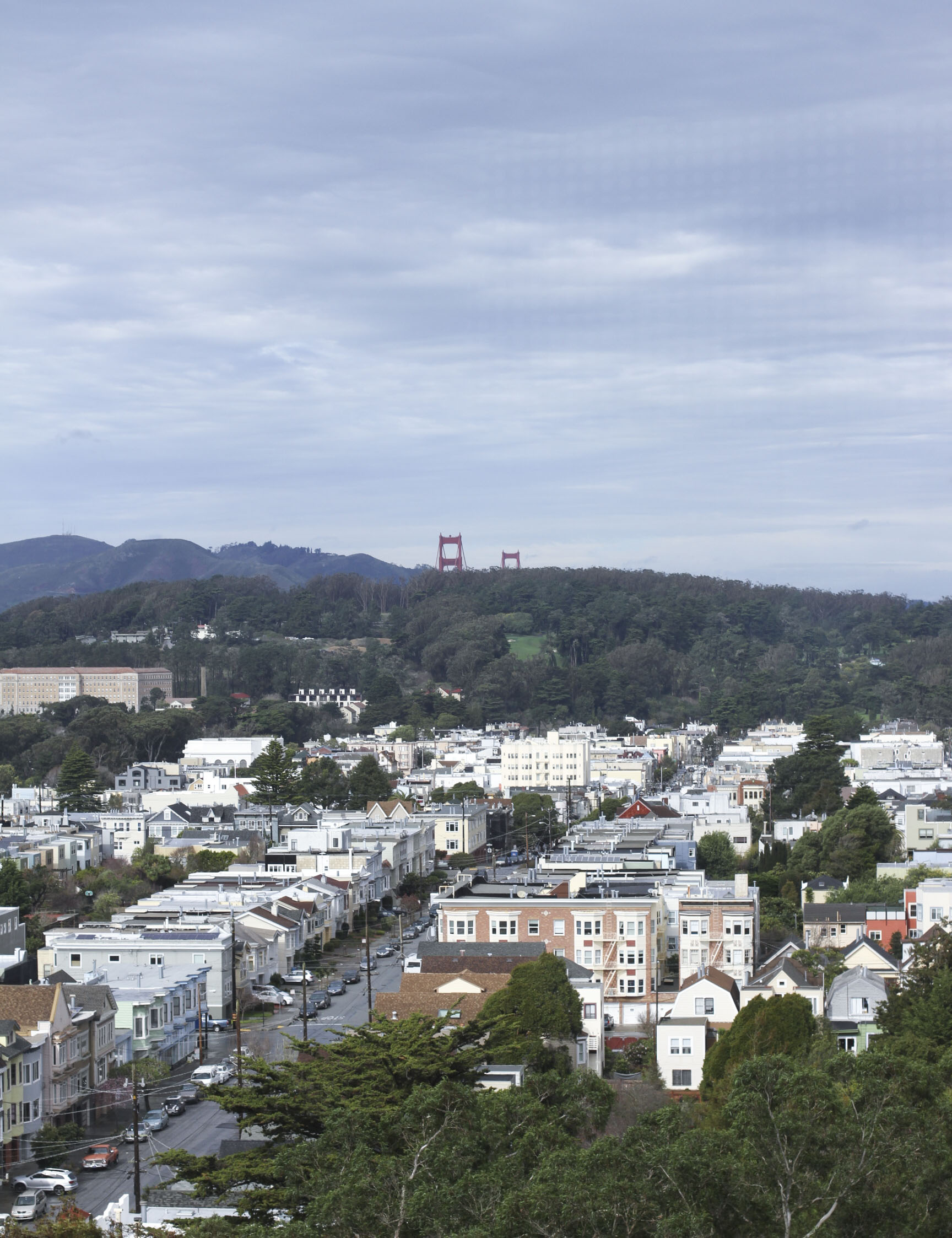 De Young Museum | the simple proof