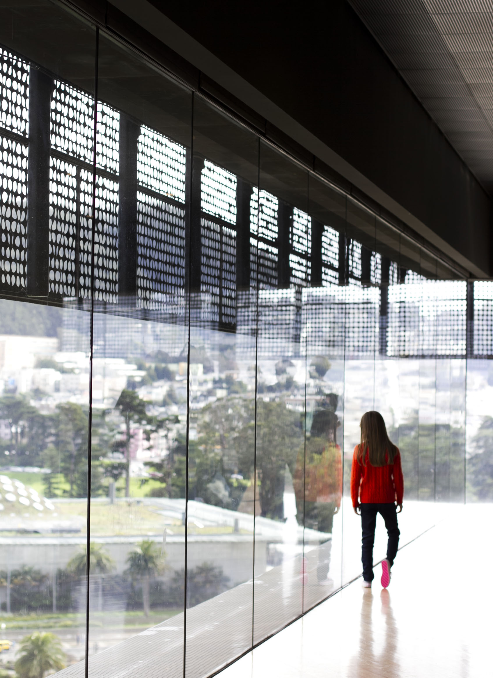 De Young Museum | the simple proof