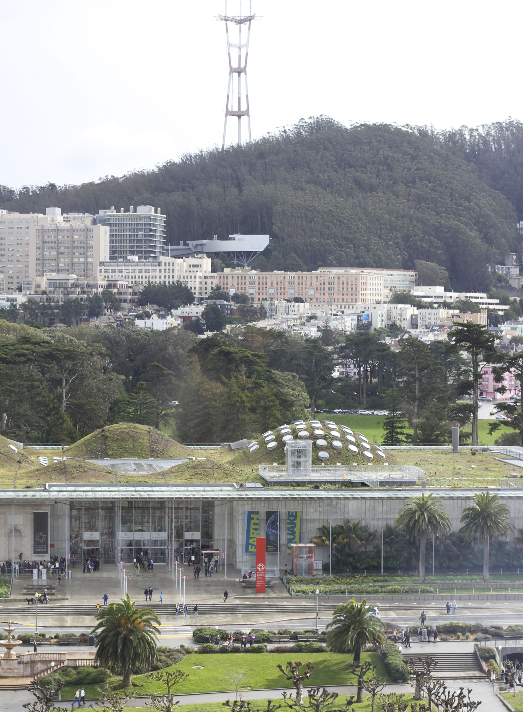 De Young Museum | the simple proof