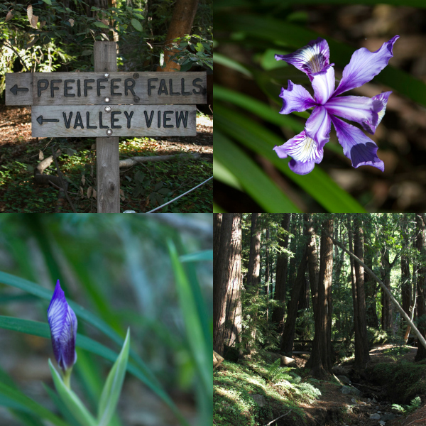 pfeiffer falls