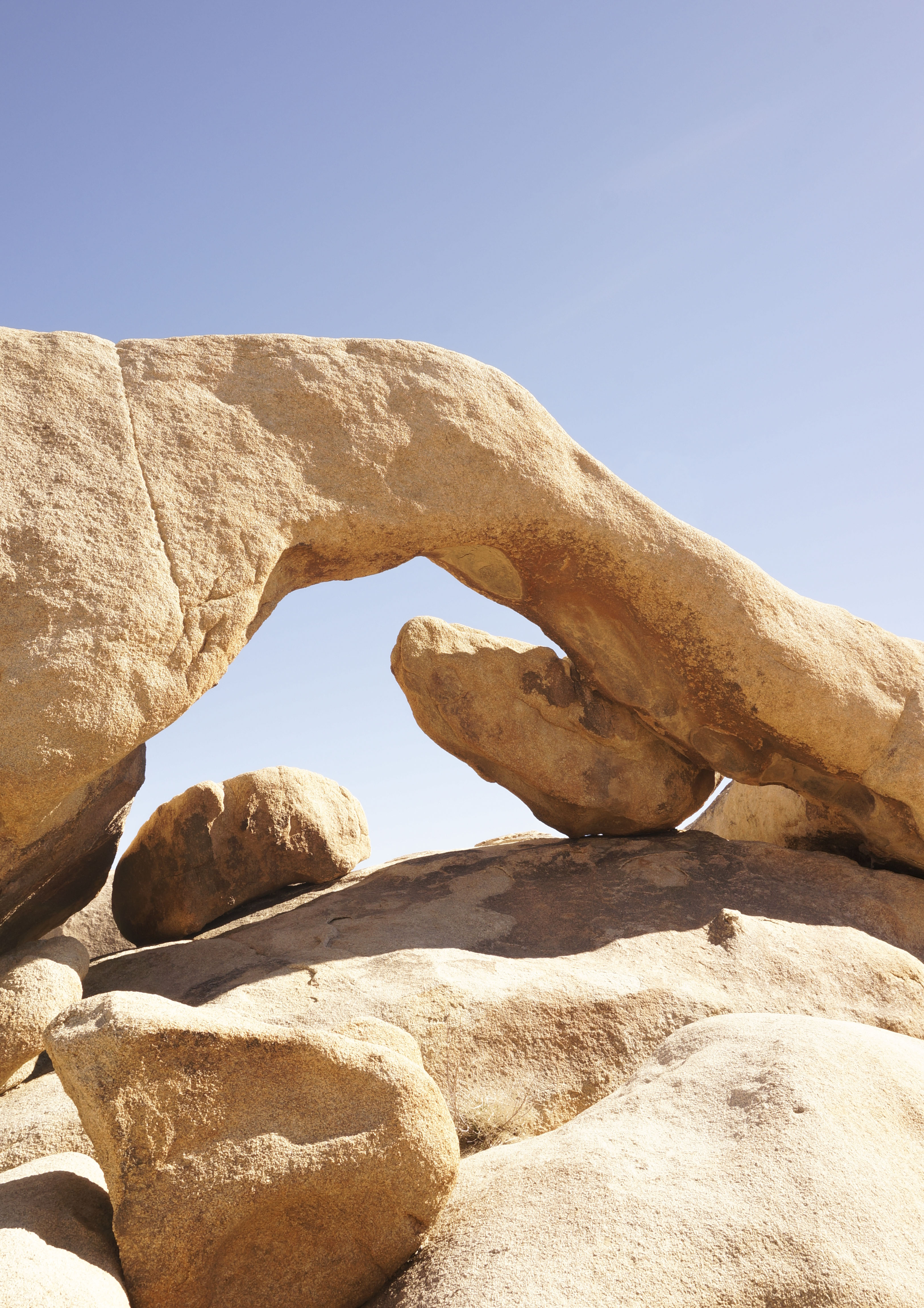 Joshua Tree National Park