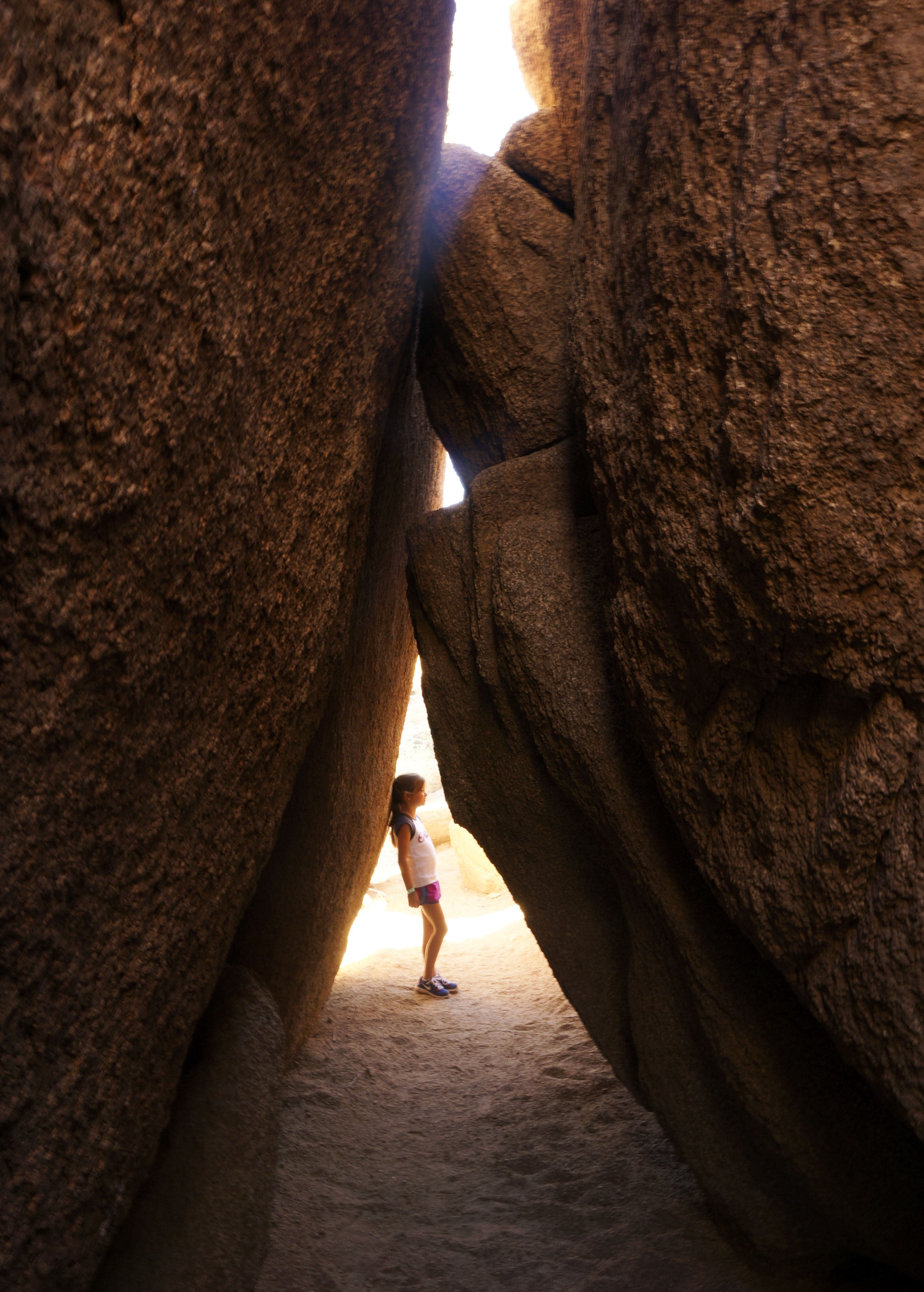 Joshua Tree National Park