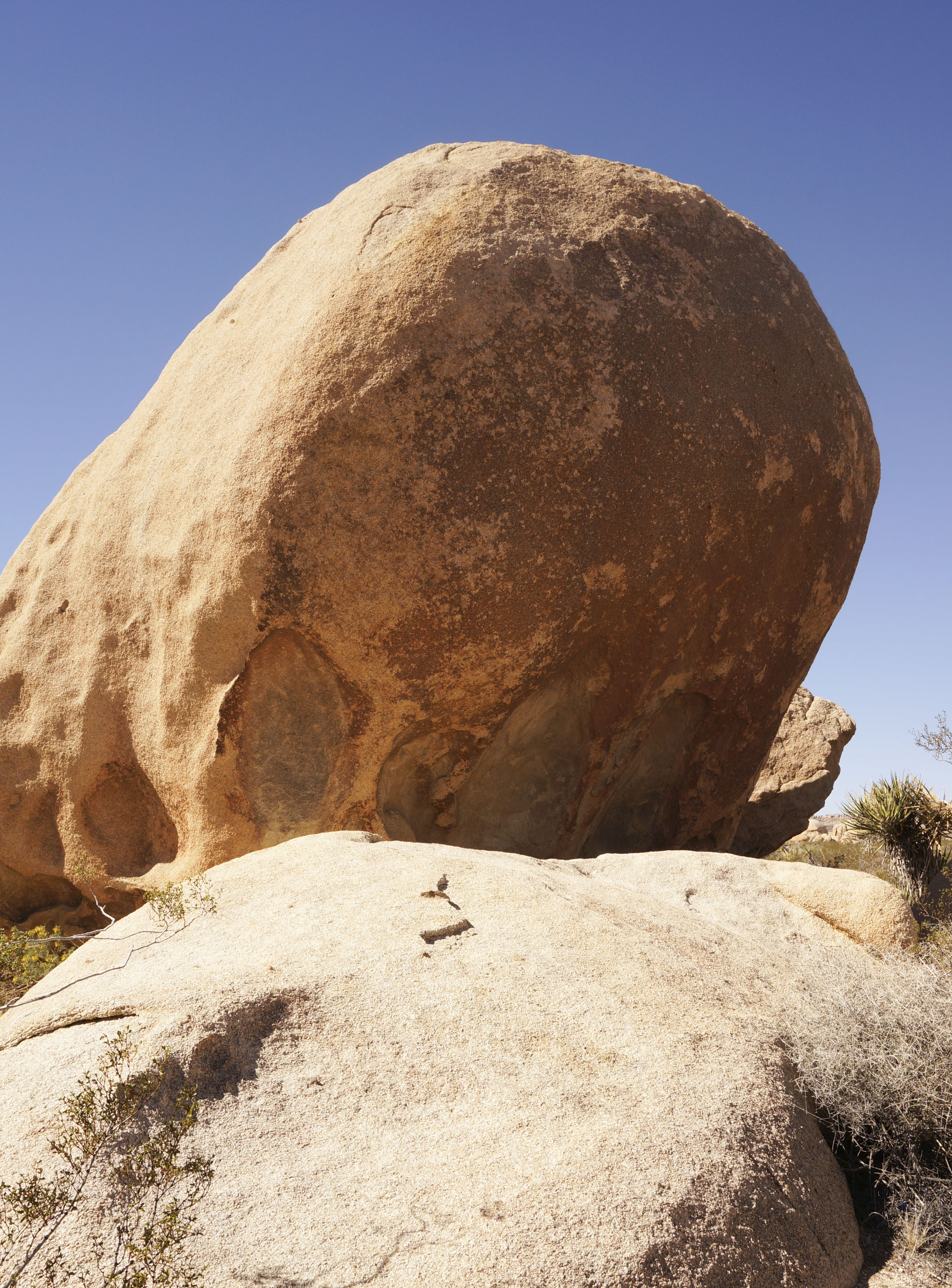 Joshua Tree National Park