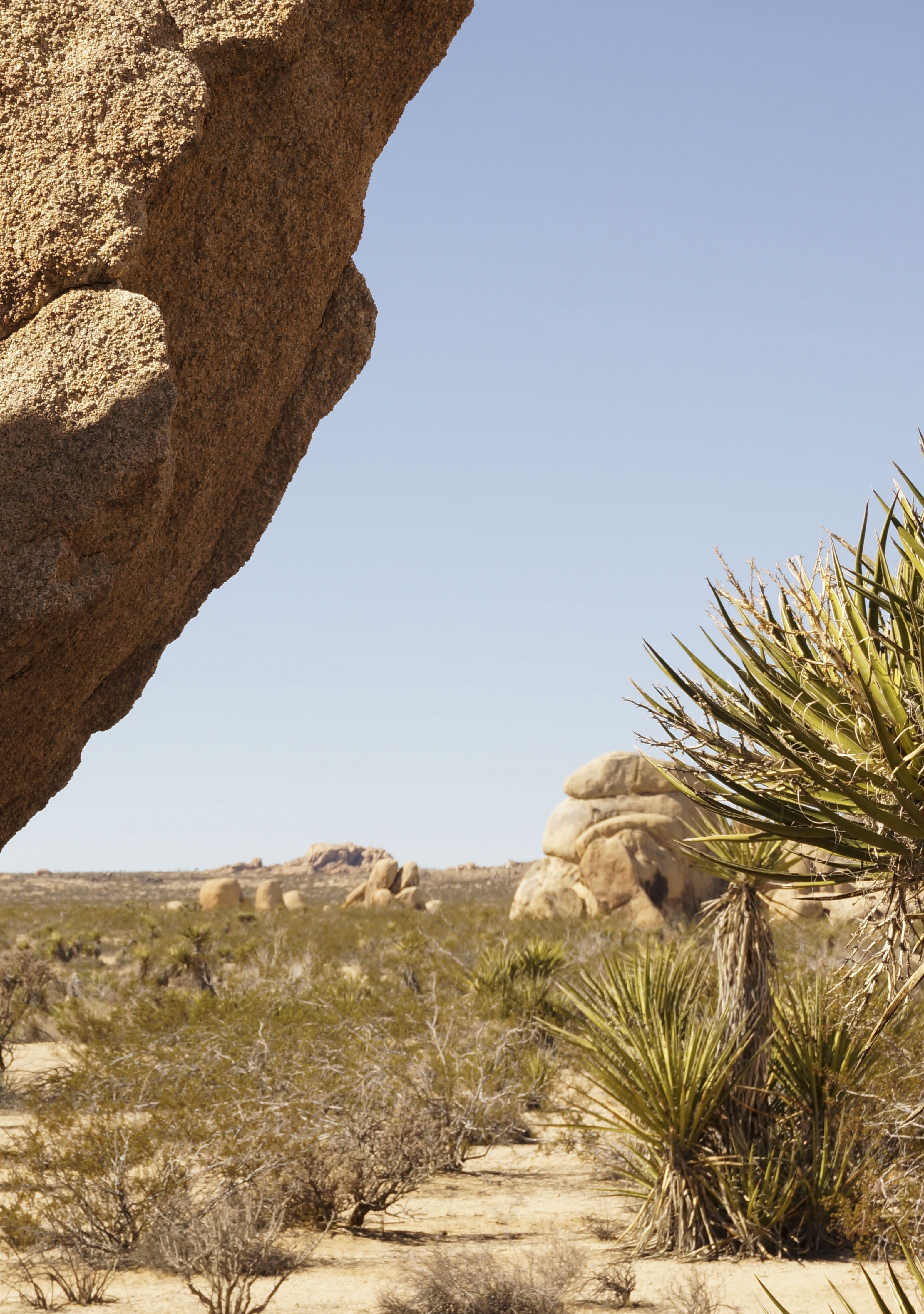 Joshua Tree National Park