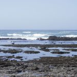 Fitzgerald Marine Reserve