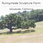 Day Date | Runnymede Sculpture Farm