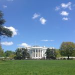 Washington D.C. | Guest Post
