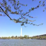 2 Days in D.C.