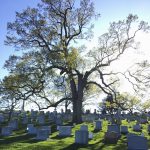 Arlington National Cemetery