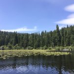Quail Lake | Lake Tahoe