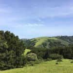 Garin Regional Park | East Bay