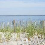 2 Days in Martha’s Vineyard