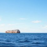 Isla Espíritu Santo | Baja California