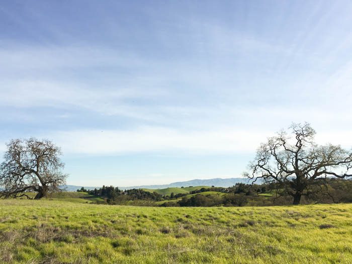 Arastradero Preserve and Other Hikes with The Simple Proof