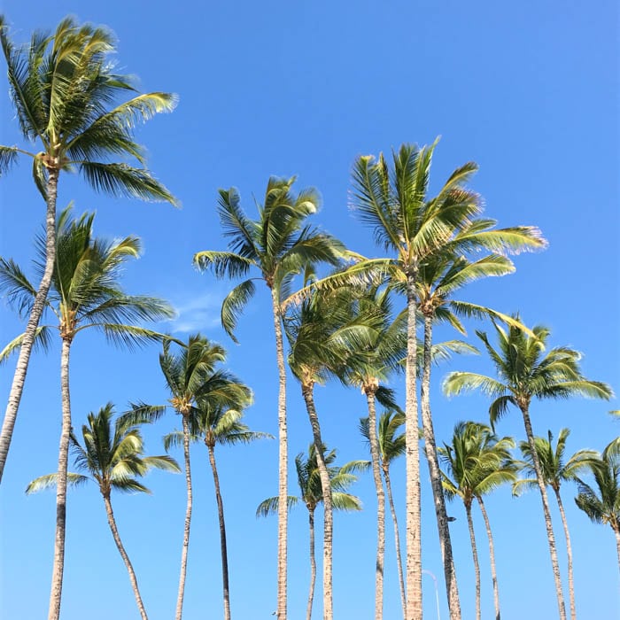 Simple Proof Travel | Hawaii, The Big Island Simple Proof Travel | Hawaii, The Big Island