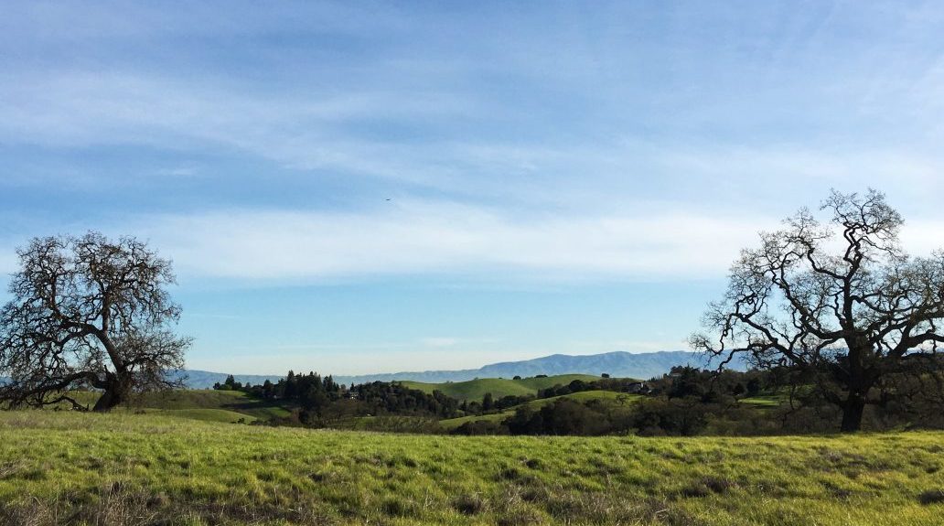 Arastradero Preserve | The Simple Proof