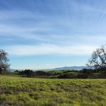 Arastradero Preserve | A Mother’s Day Hike