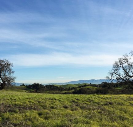 Arastradero Preserve | The Simple Proof