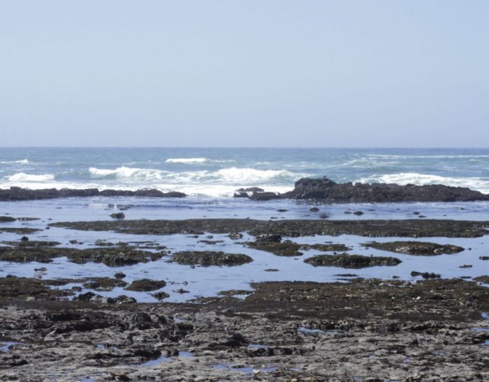 Fitzgerald Marine Reserve - The Simple Proof