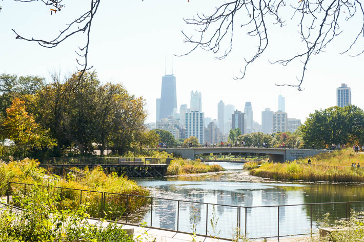 2 Days in Chicago | The Simple Proof