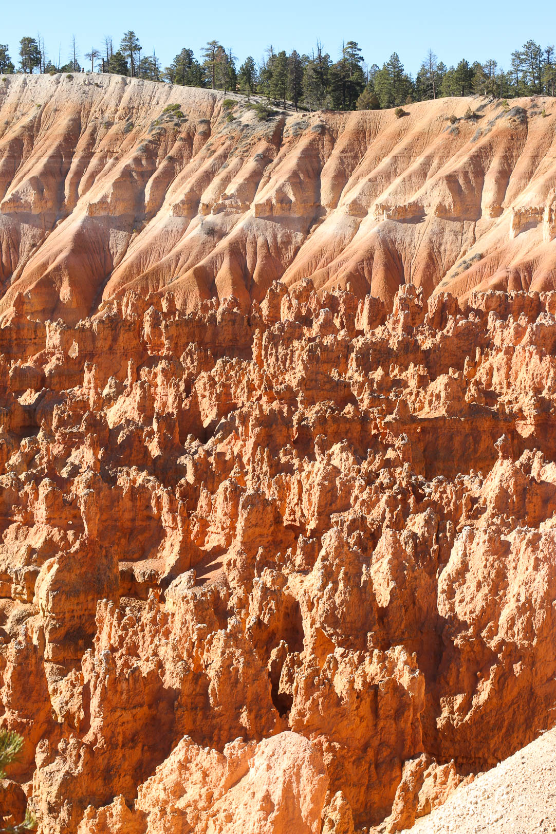 Bryce Canyon National Park | The Simple Proof