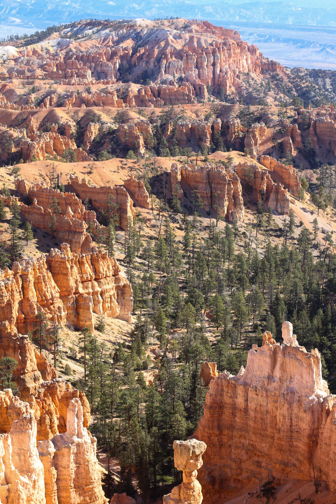 Bryce Canyon National Park | The Simple Proof