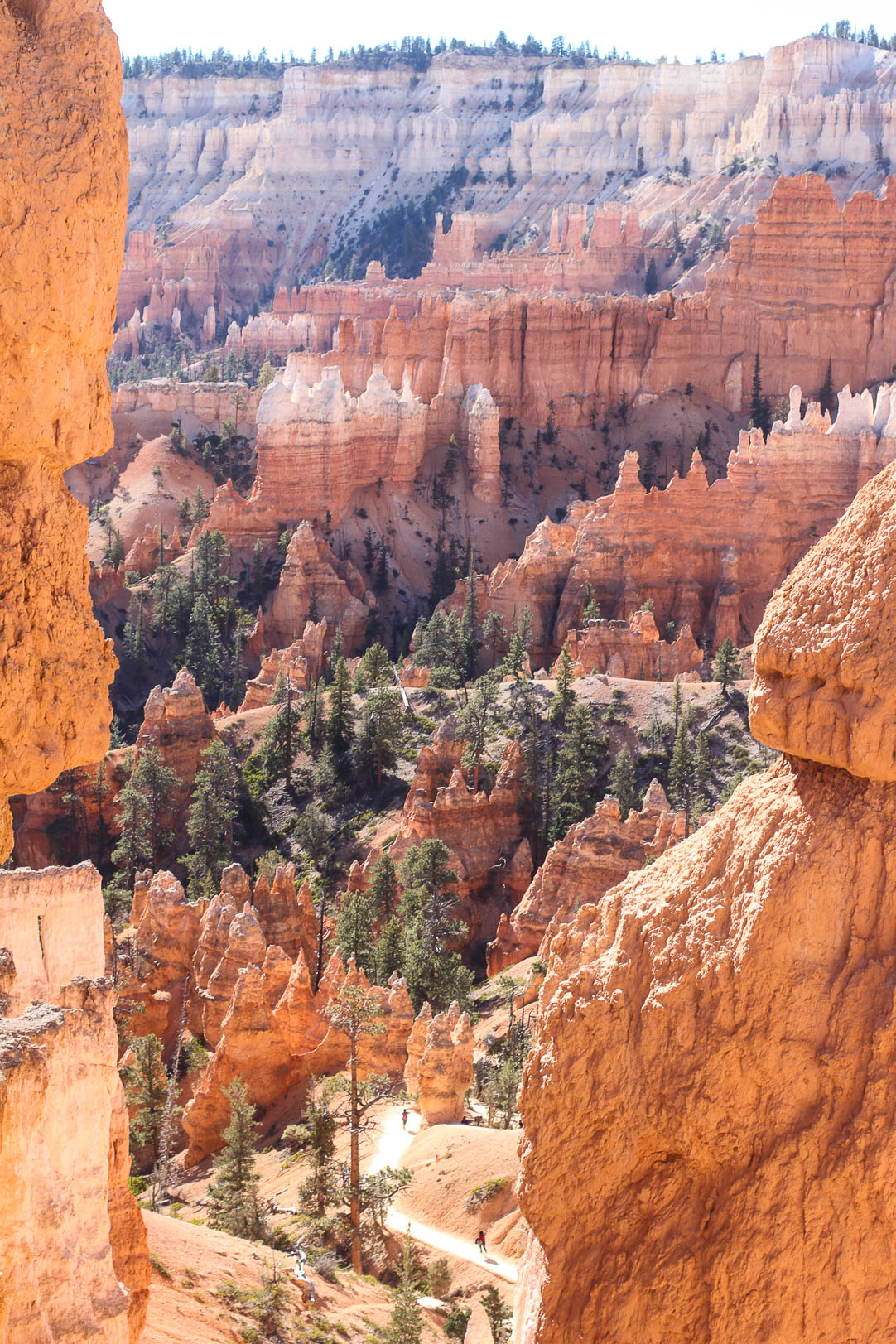 Bryce Canyon National Park | The Simple Proof