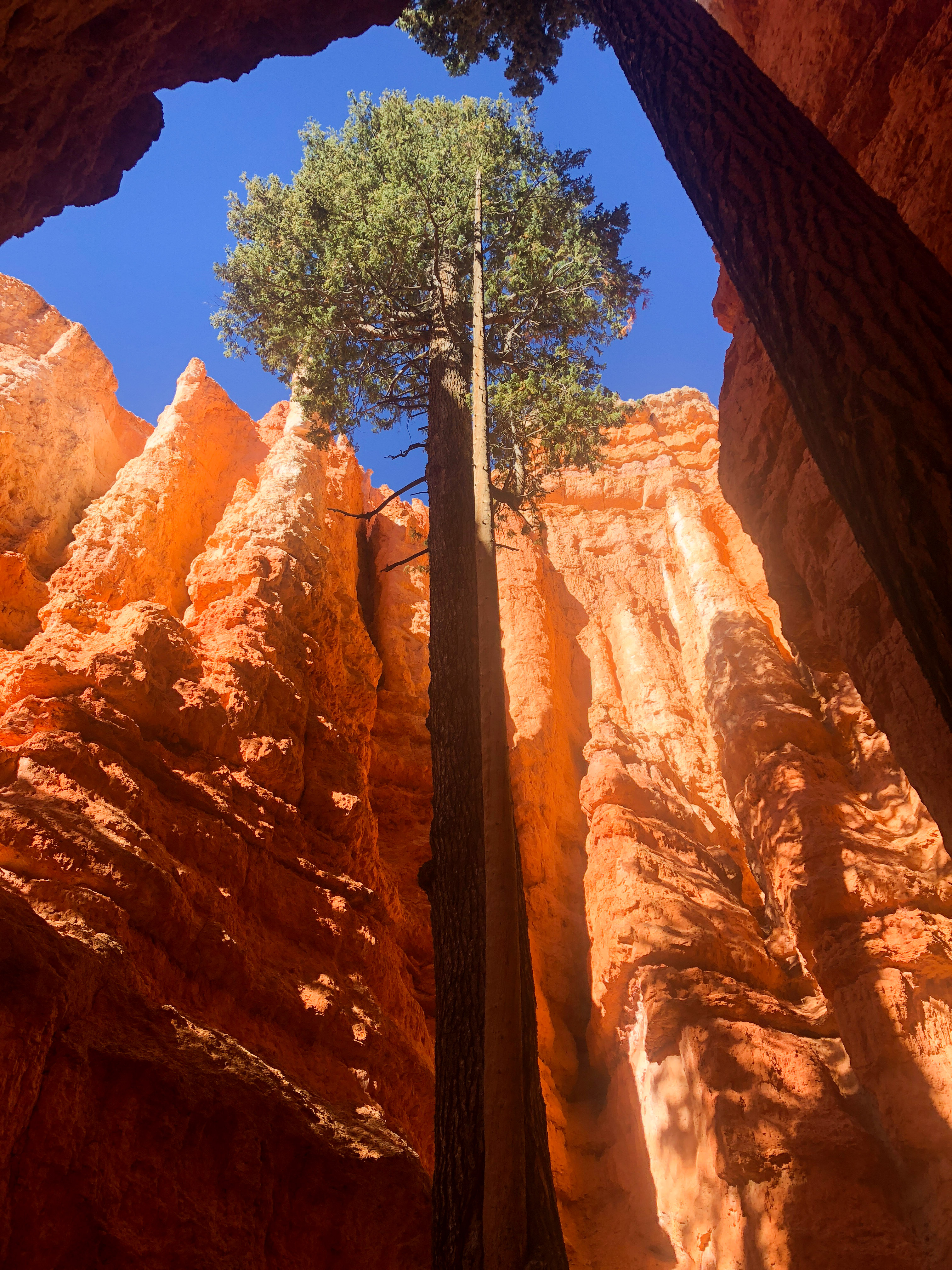 Bryce Canyon National Park | The Simple Proof