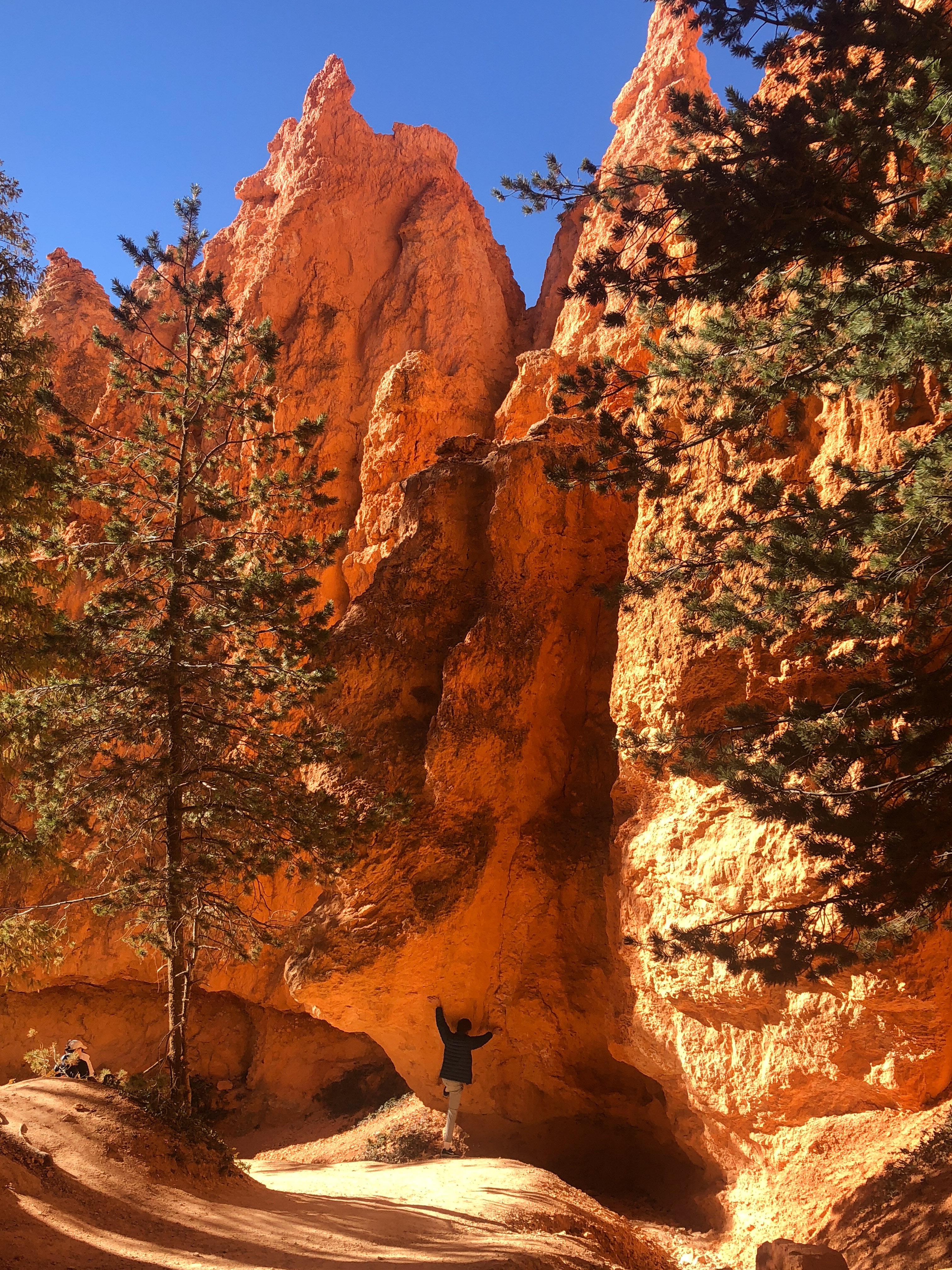 Bryce Canyon National Park | The Simple Proof