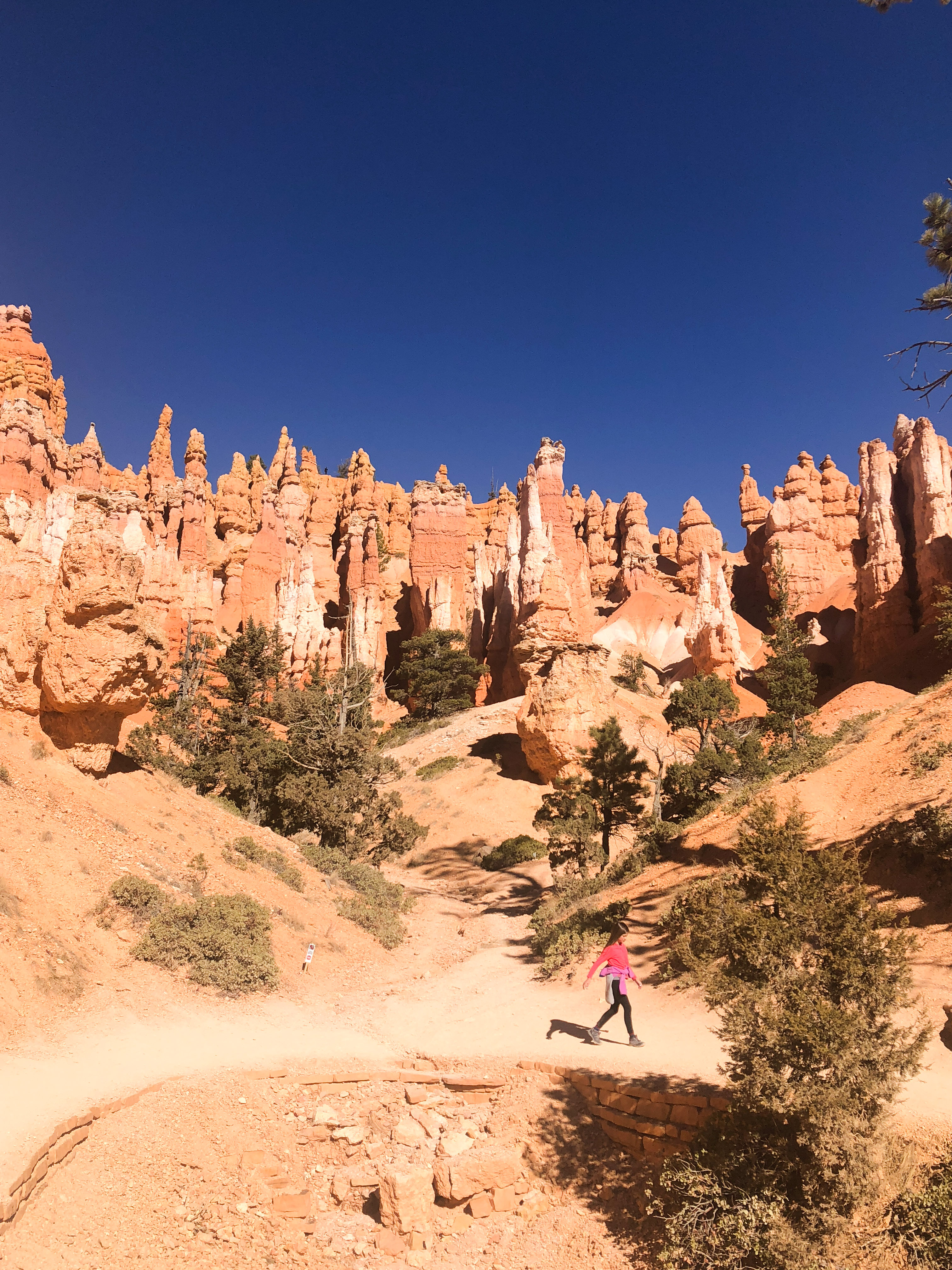Bryce Canyon National Park | The Simple Proof