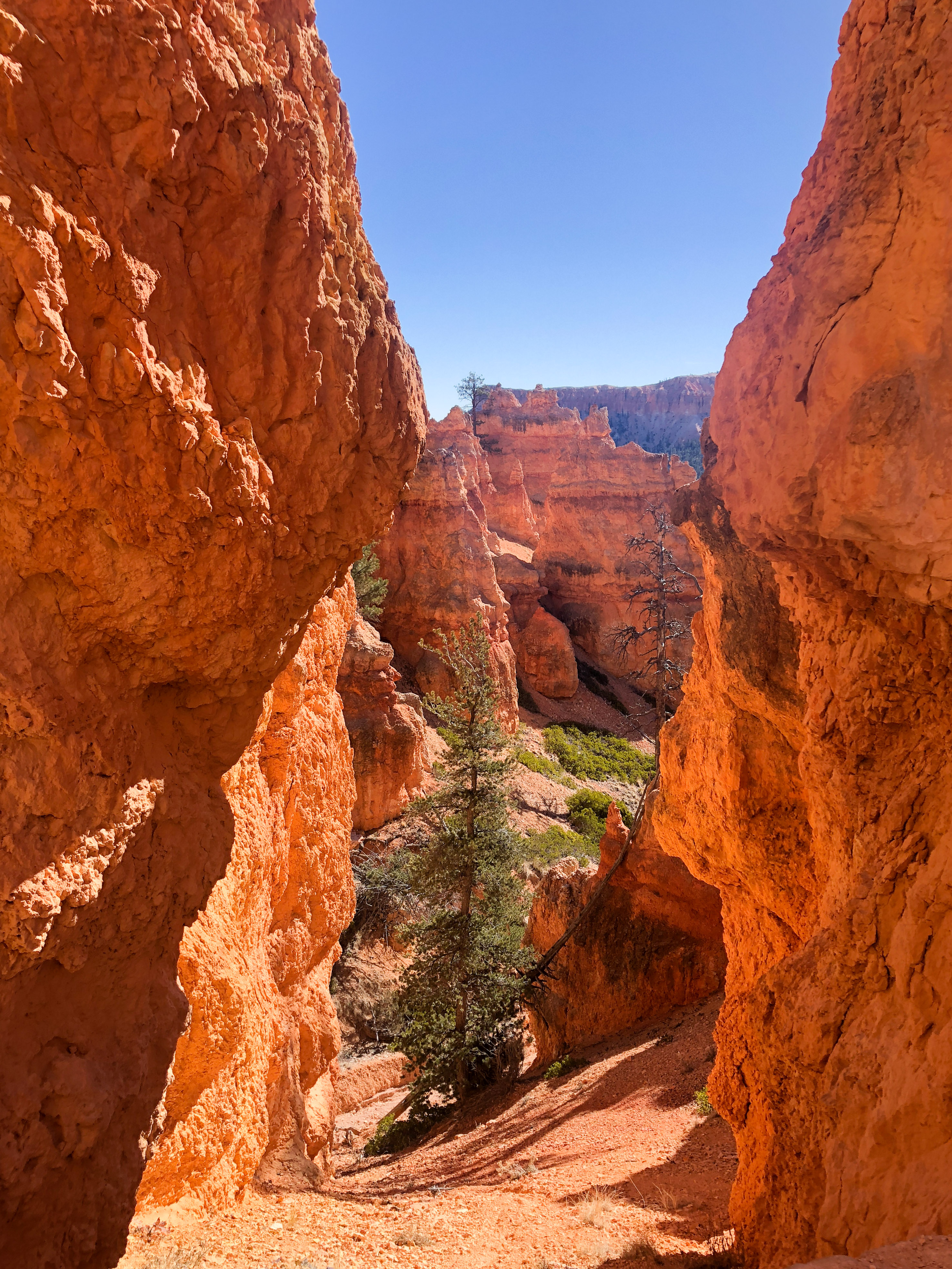 Bryce Canyon National Park | The Simple Proof
