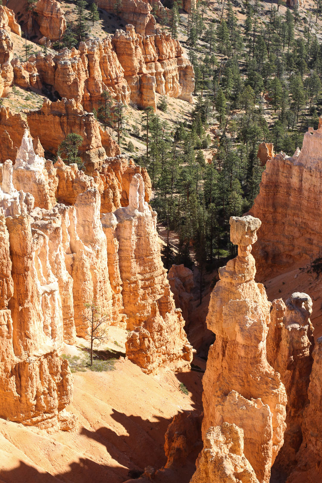 Bryce Canyon National Park | The Simple Proof