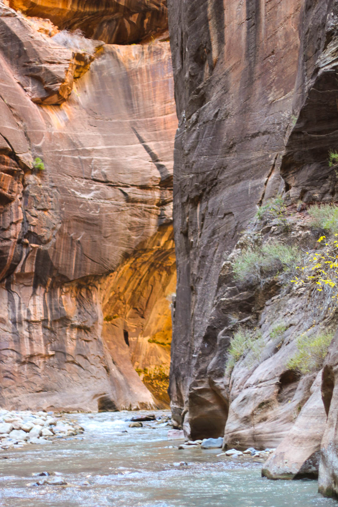 Zion National Park | The Simple Proof