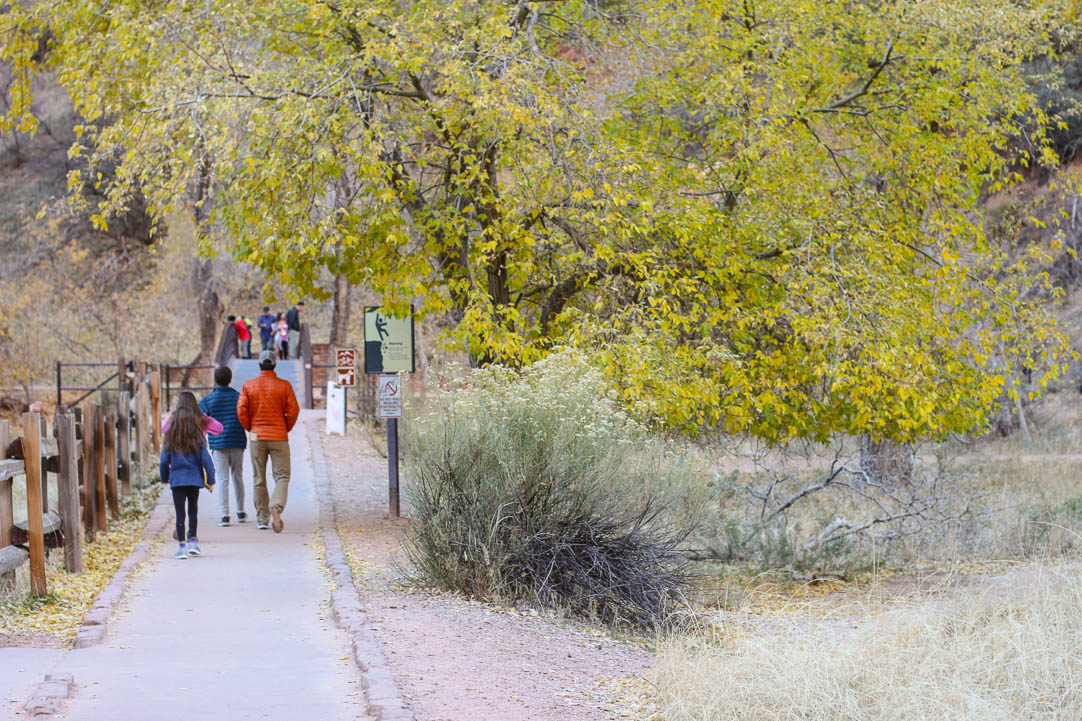 Zion National Park | The Simple Proof