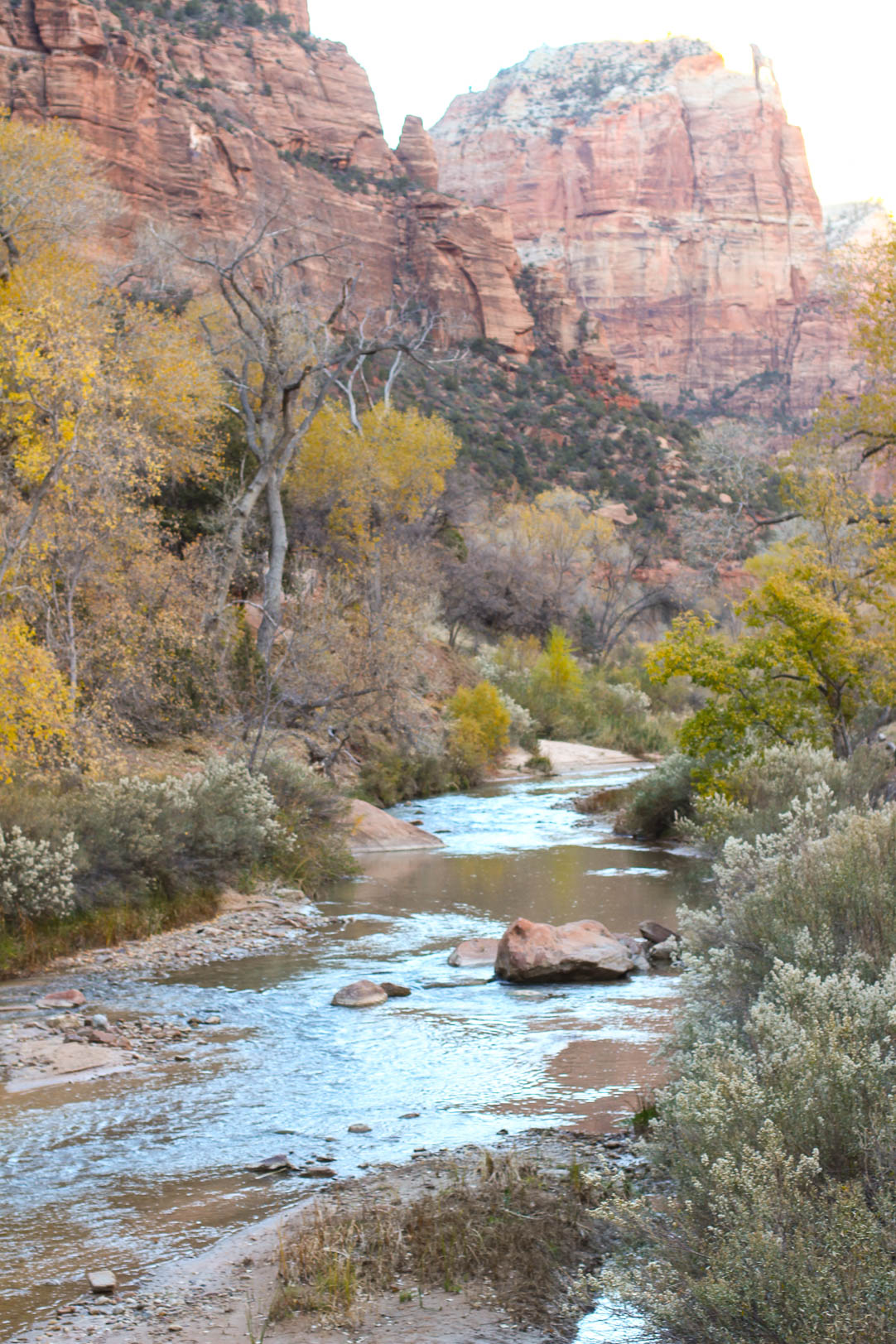 Zion National Park | The Simple Proof