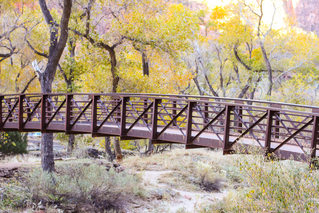 Zion National Park | The Simple Proof