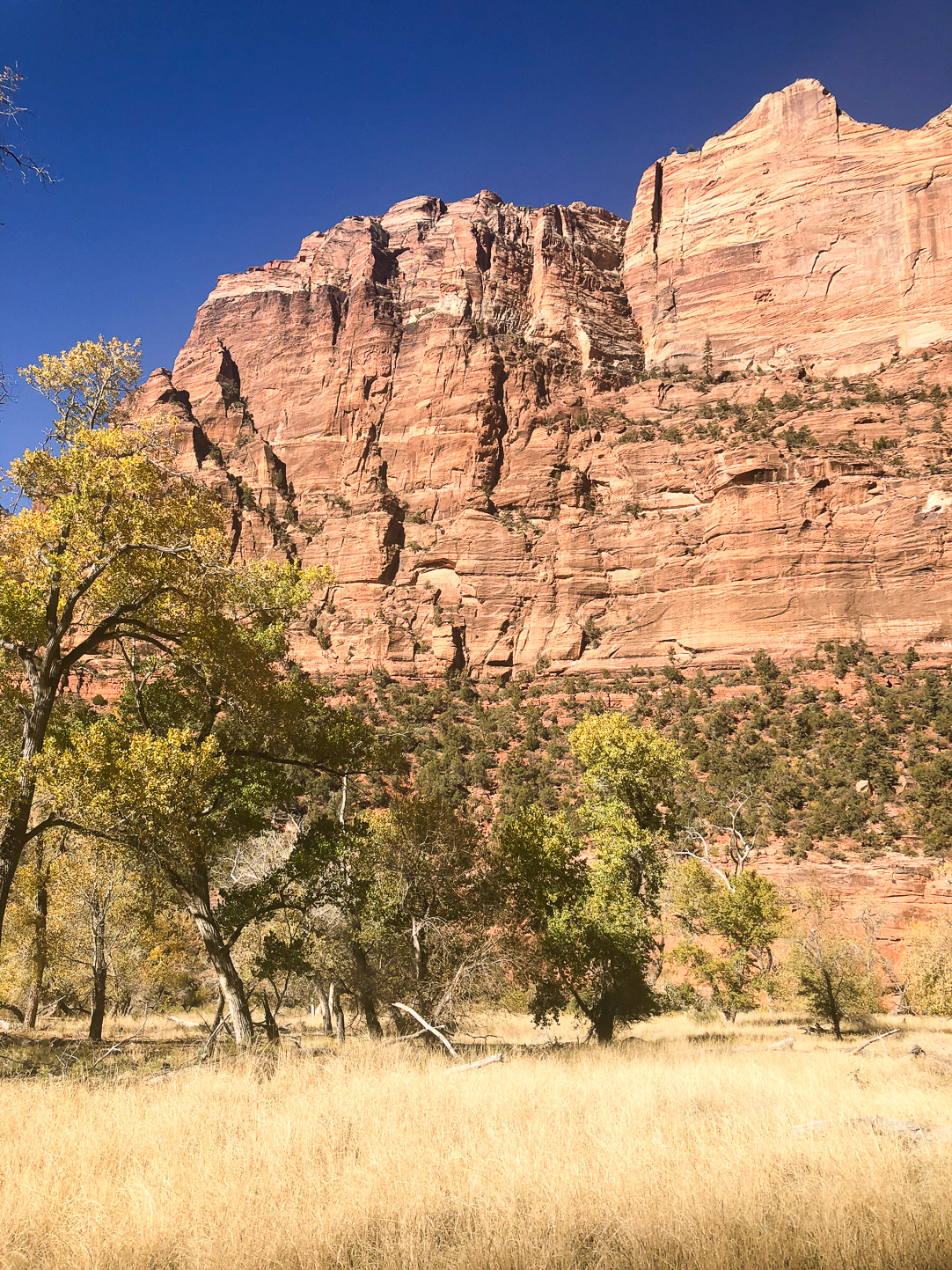 Zion National Park | The Simple Proof