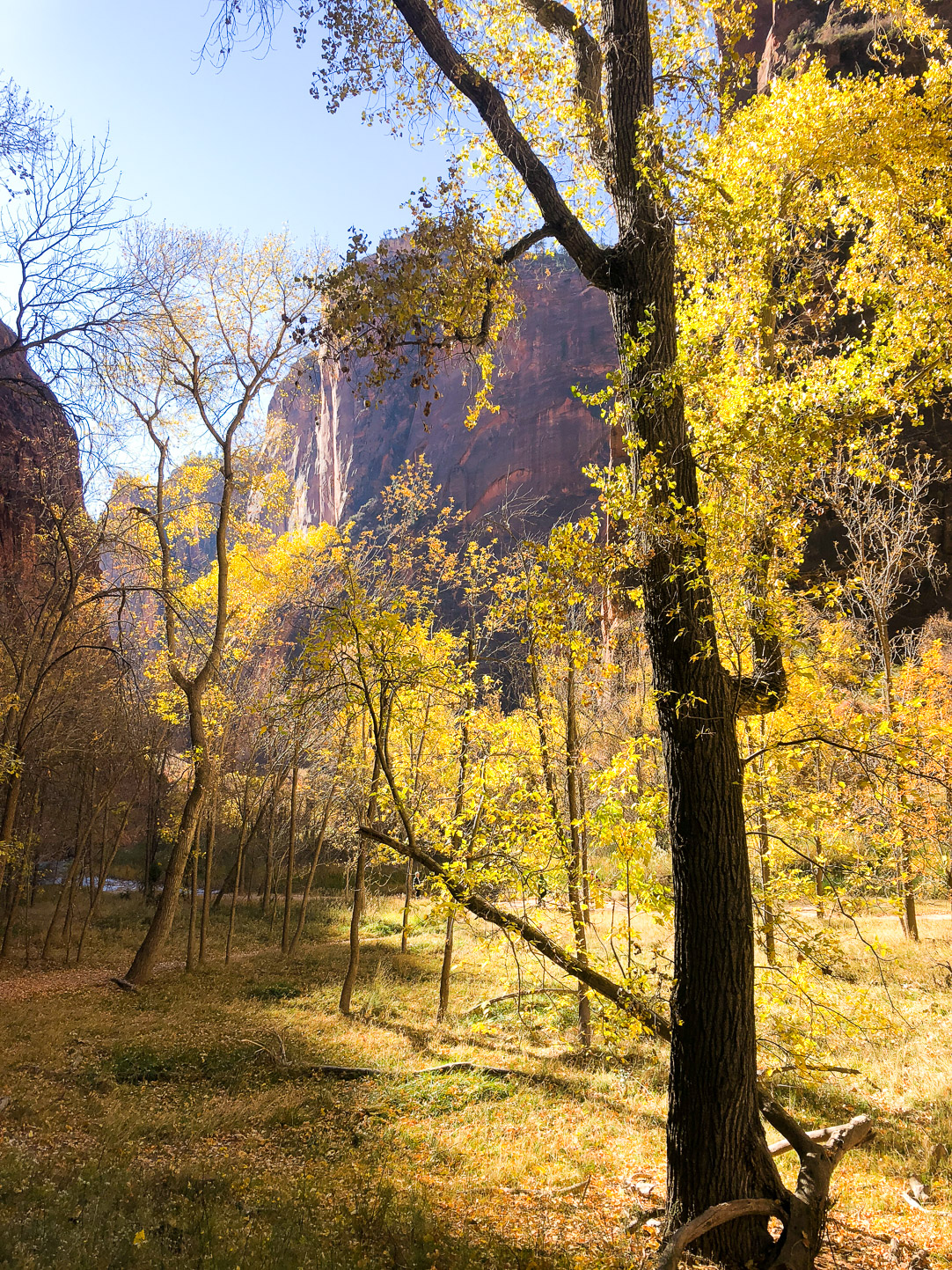 Zion National Park | The Simple Proof